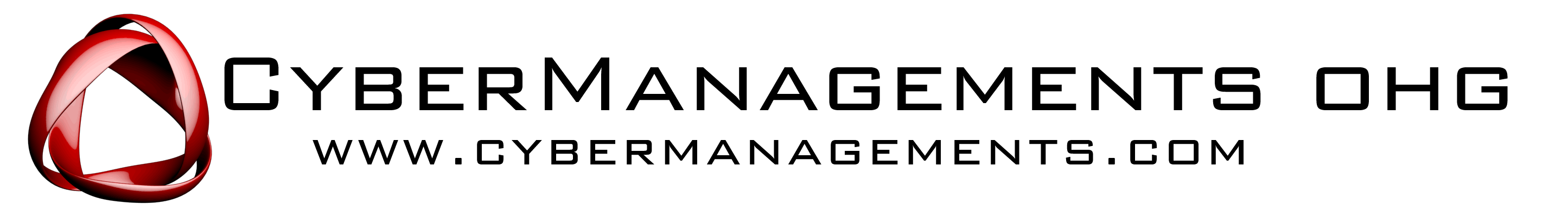 cybermanagements